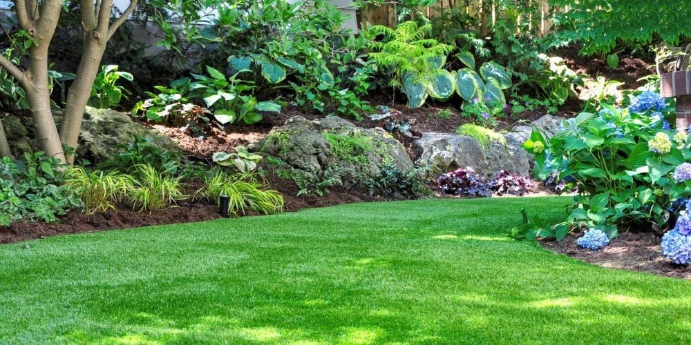 Beautiful green lawn.